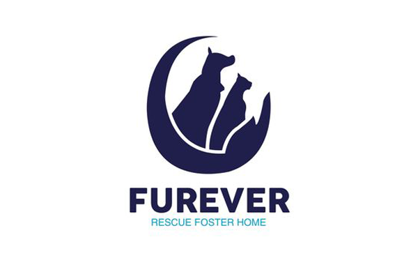 Forever Rescue Foster