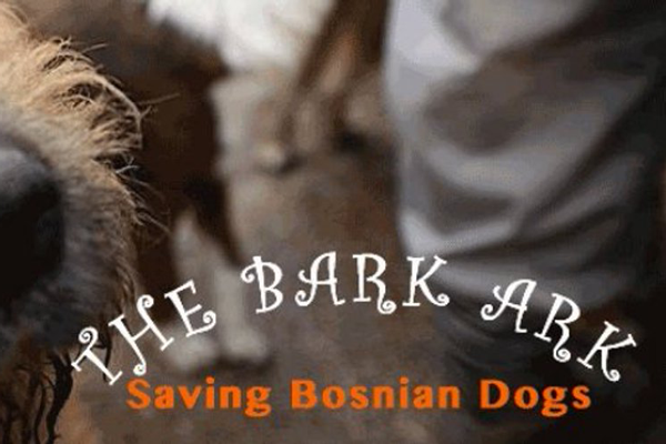 The Bark Ark